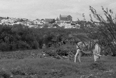 Rutas turísticas benalupenses