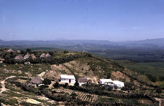 Febril la mirada