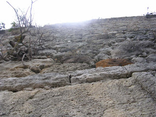 El fallo del jurado