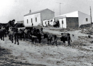 El origen de la ermita del Tajo