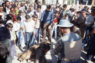 Carnaval 2009
