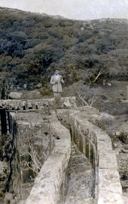 Los molinos harineros y 2