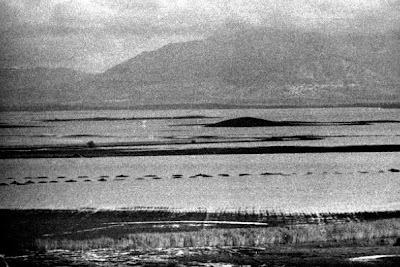 El río que nos lleva 3