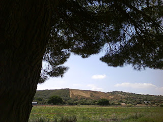 Los cadáveres de San José de Malcocinado y 2