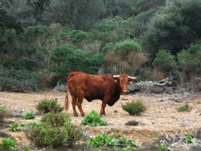 La Necrópolis de Monte Bajo y prosigue la dejación y 2
