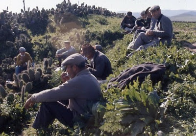 Los señoritos y nosotros los pobres 1