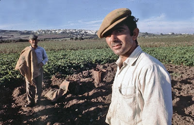 Los huertos y 2