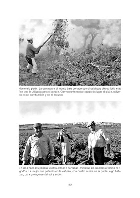 Historias en Benalup-Casas de José Benítez Guillén