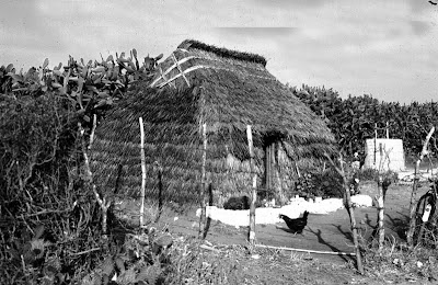 Palafitos y palacitos. 1