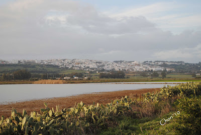 La comarca de la Janda. La hidrología. 4