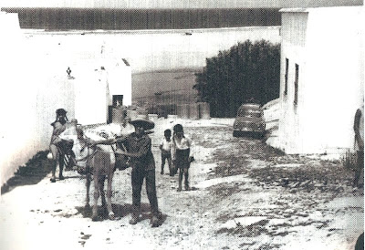 La comarca de la Janda. Toponimía. 8