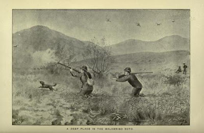 Los paraisos perdidos. Las aves de La Laguna de La Janda. 4
