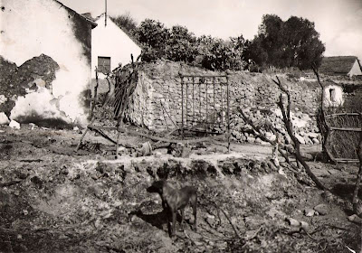 El casarón de Seisdedos 1