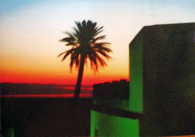 La palmera de Utrera.