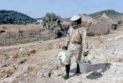 La vida de las abejas. Por Joaquín Sánchez Rubiales
