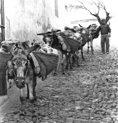 Cordobés, Loco, Caramelo y Paquiro