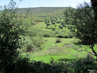 Sendero por las Gargantillas. Y 2