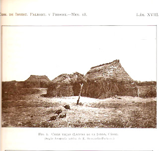 ¿Palafitos en la Janda?