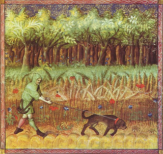 Cuando pululaban osos por el campo de Casas Viejas. 7