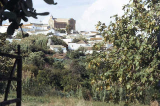 Jornadas gastronómicas micológicas en Benalup-Casas Viejas