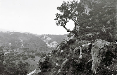 Fotografías de la Garganta del Cuerno