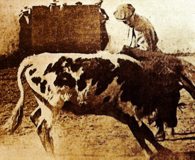 Las Lomas. El uso extensivo de la tierra. 3