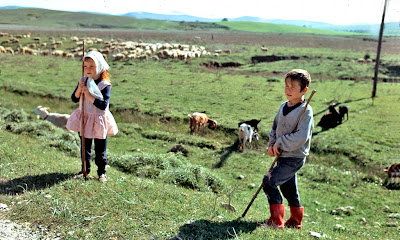 Pastorcitos