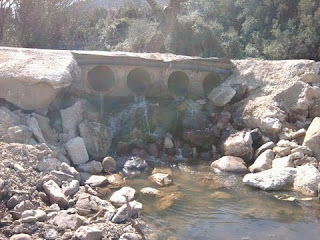 A LOS BARBOS QUE PERECEN INTENTANDO OVAR EN EL RÍO CELEMÍN. Por Leonardo Ruiz Estudillo