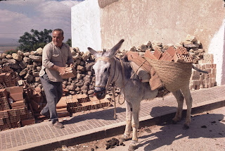 Transportando ladrillos