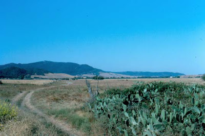 La batalla de Pagana