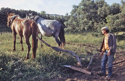 La agricultura en el año 1940