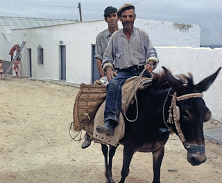 Terry