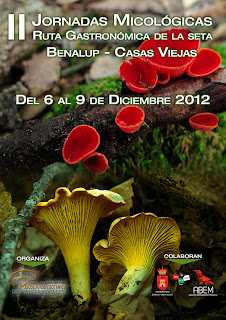 II Jornadas micológicas