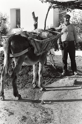 El Aguaor