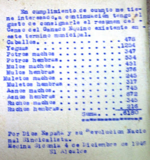 La importancia de la ganadería
