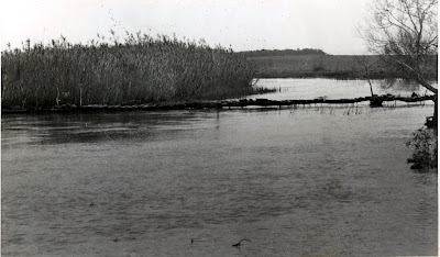 Las comunicaciones por la Laguna de la Janda