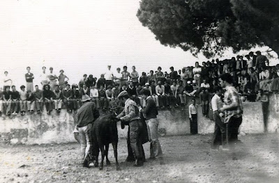 El origen de las fiestas de Malcocinado