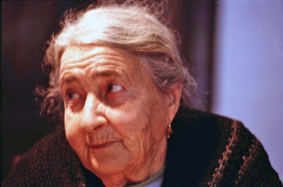 El Vivillo