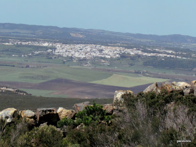 El maquis en Casas Viejas. La derrota. La guerra en el llano. 3