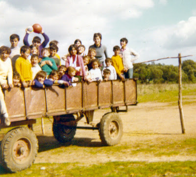 Los maestros de campo o ambulantes. Avelina Zorrilla. Y 8
