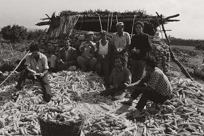 «Consumir menos, consumir mejor» y la sociedad tradicional. La producción en el campo