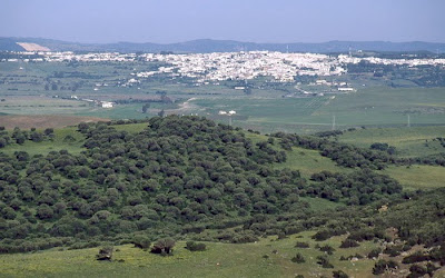Piropo
