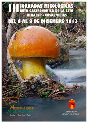 III jornadas y ruta gastronómica de las setas