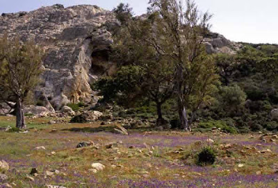 La Sierra. A modo de conclusión