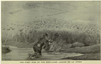La laguna de la Janda. La flora antes de la desecación.4
