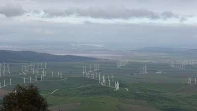 La laguna de la Janda. Algunas conclusiones de su desecación. 10