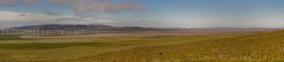 La laguna de la Janda. Los peligros actuales y lo que queda. 11