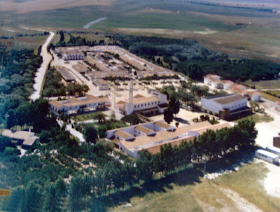 La Laguna de la Janda. Las Lomas. 9