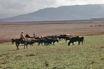 «Consumir menos y consumir mejor» y la sociedad tradicional benalupense. Agricultura y ganadería