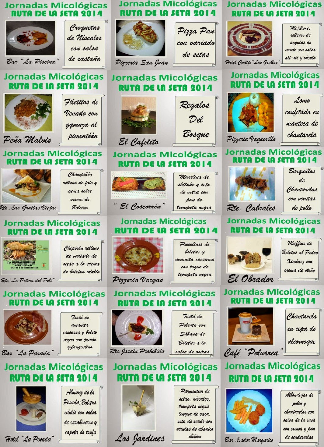 Las IV Jornadas Micológicas. Ruta de la seta 2014